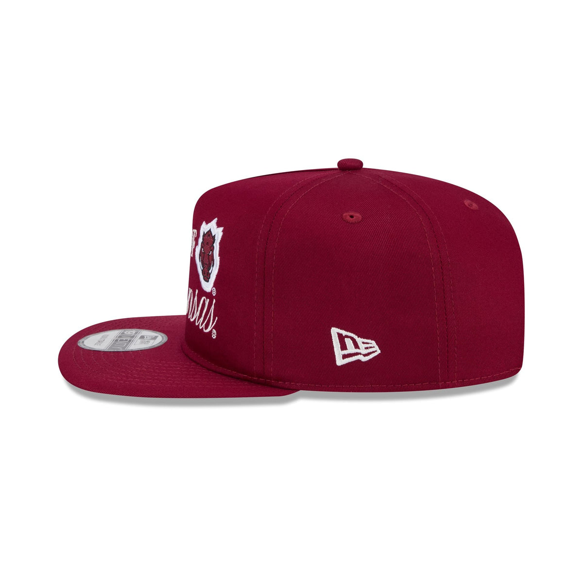 Arkansas Razorbacks Script 19TWENTY Snapback Hat
