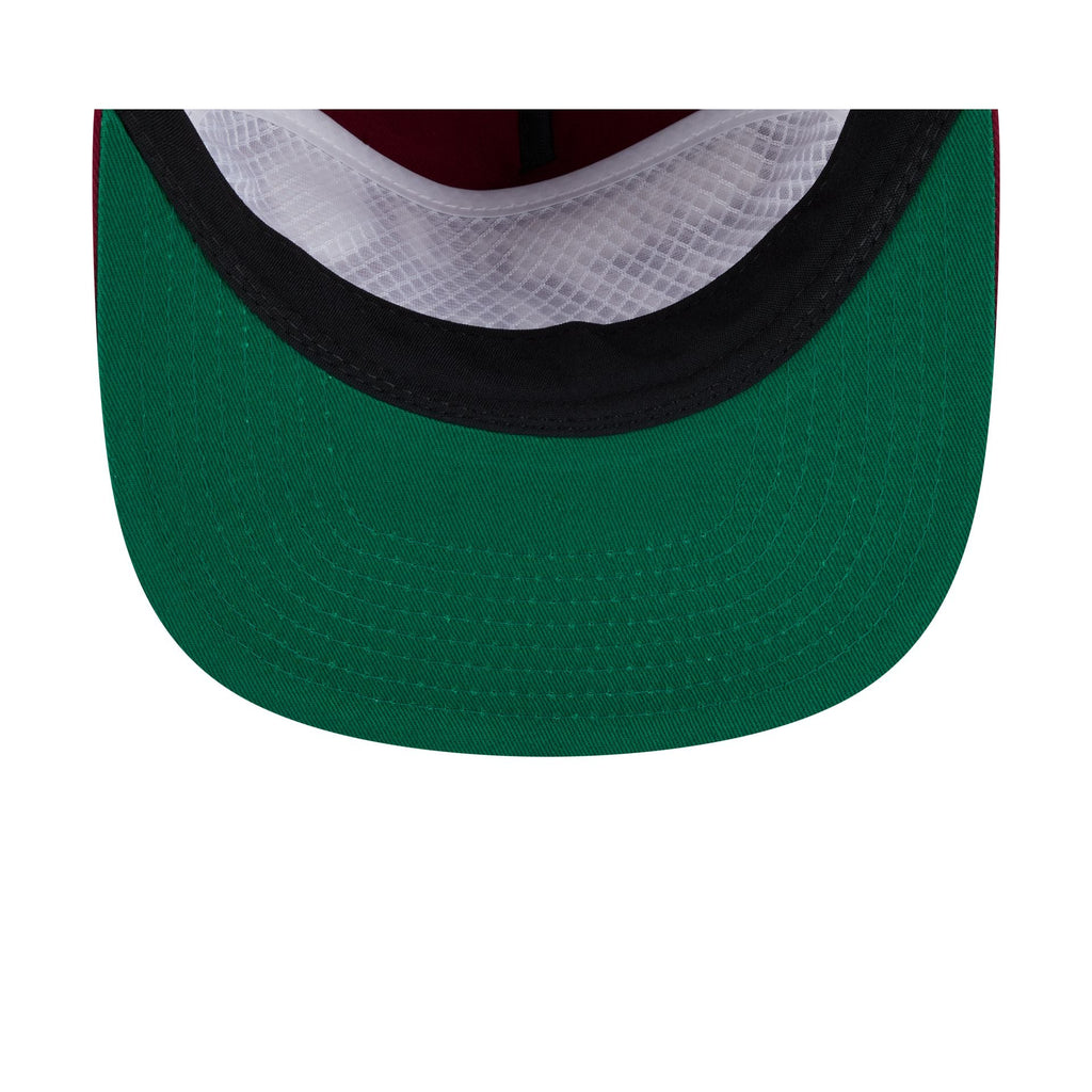 Arkansas Razorbacks Script 19TWENTY Snapback Hat