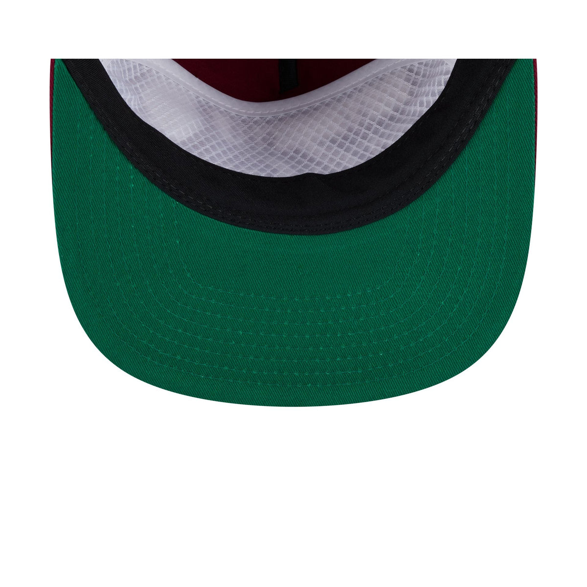 Arkansas Razorbacks Script 19TWENTY Snapback Hat