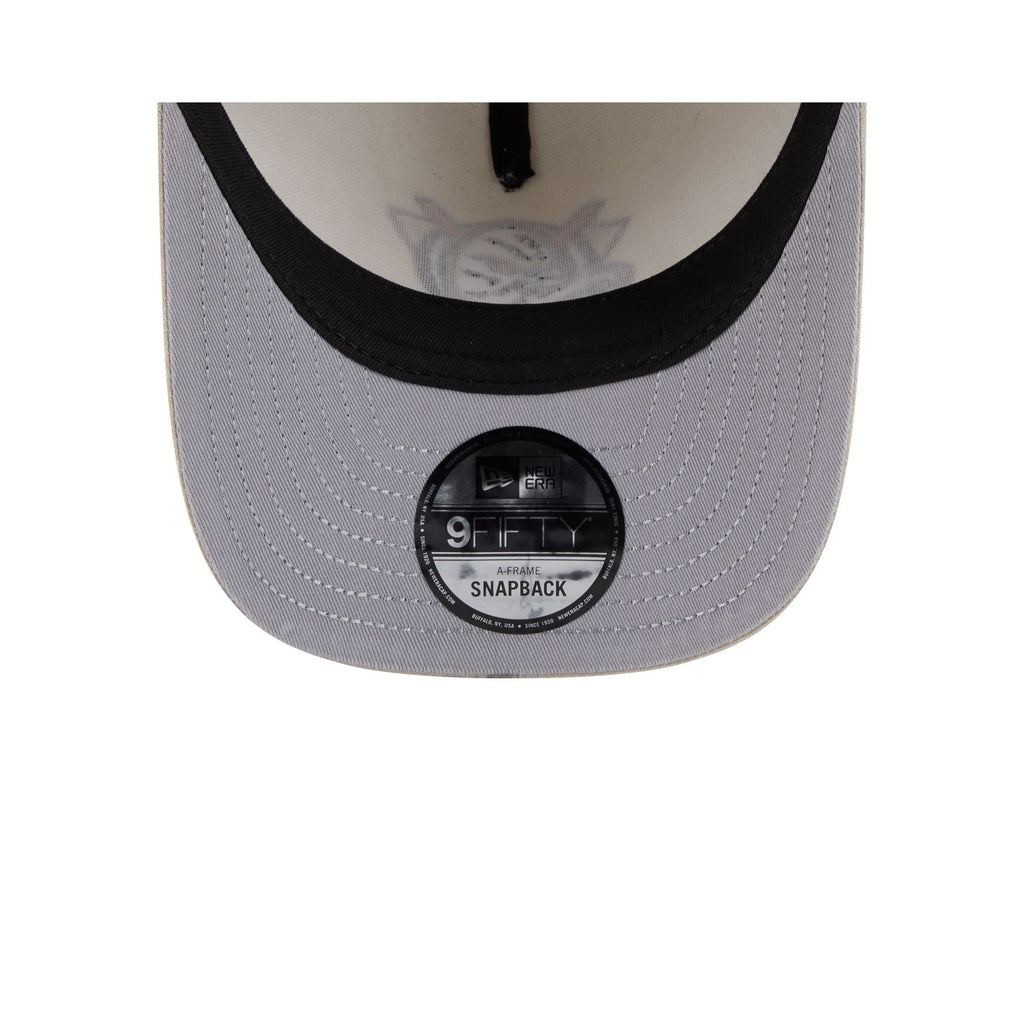 Anaheim Ducks Brushed Cotton Stone 9FIFTY A-Frame Snapback Hat