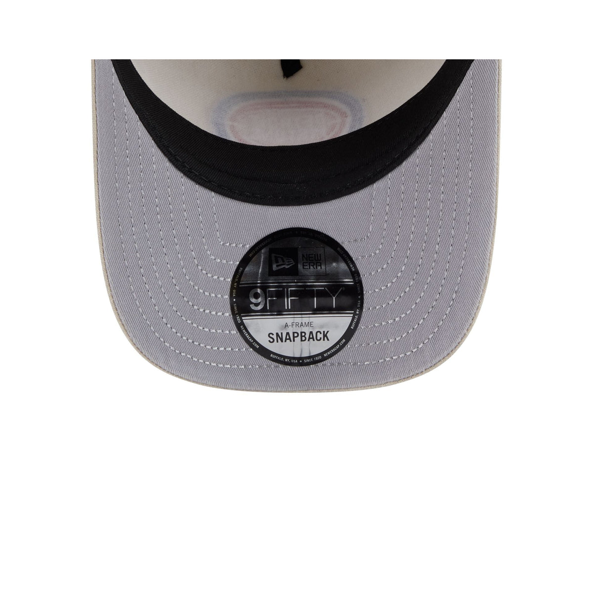 Detroit Pistons Brushed Cotton Stone 9FIFTY A-Frame Snapback Hat