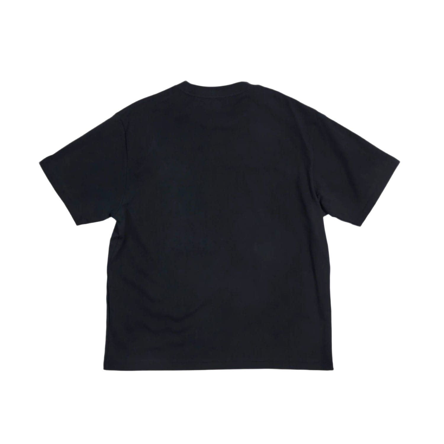 Birth Of Royal Child Vintage PSP Tee